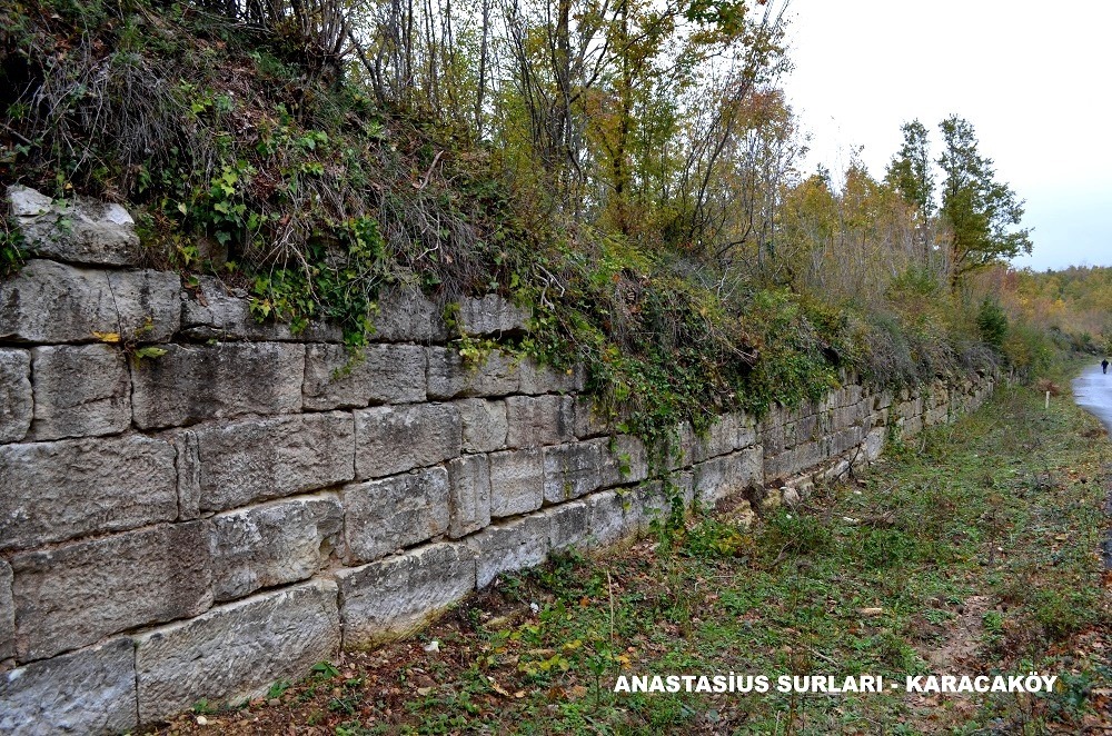 Anastasius Suru